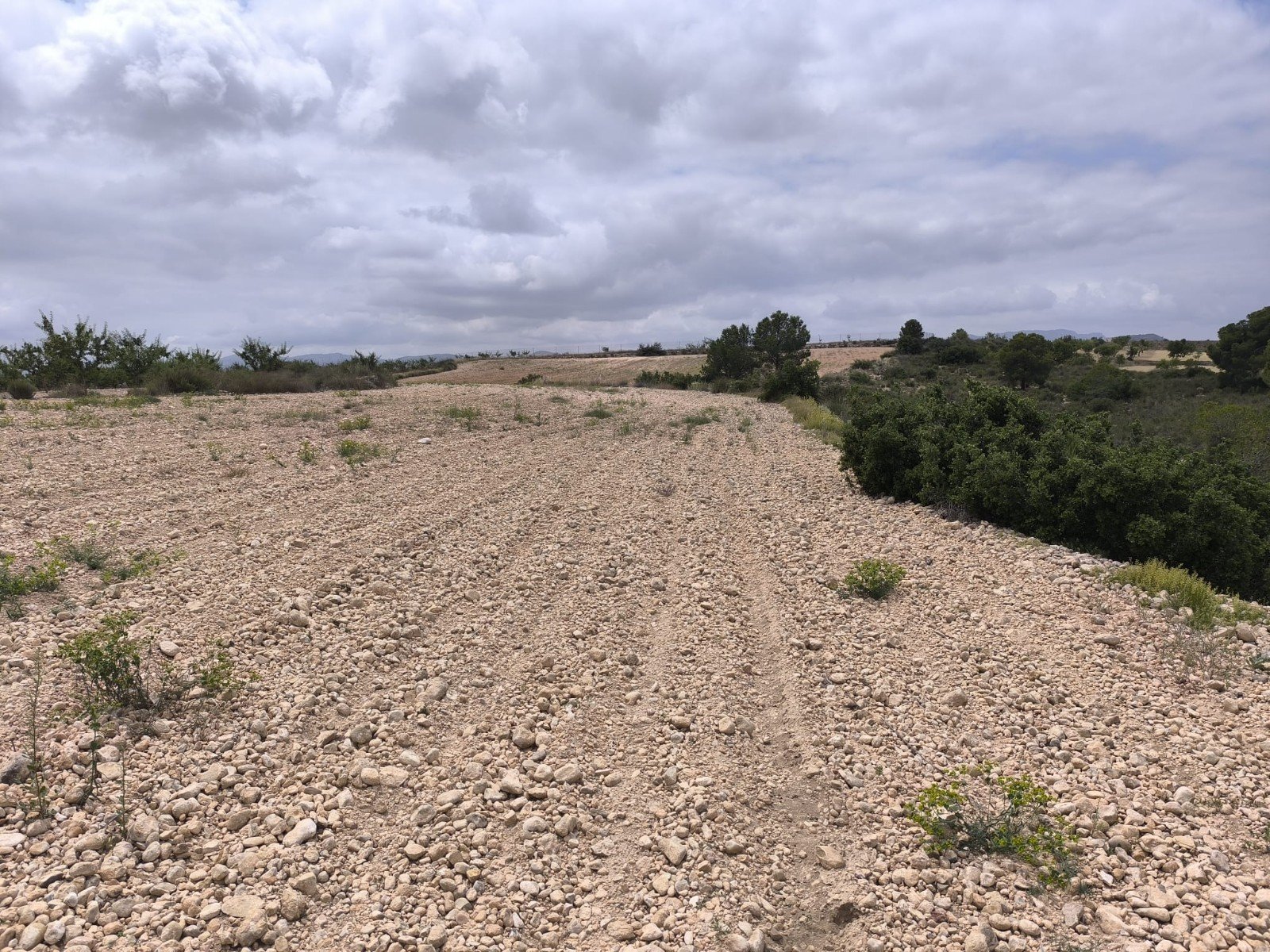 29,575 m² Land in Pinoso - Caza De Casa
