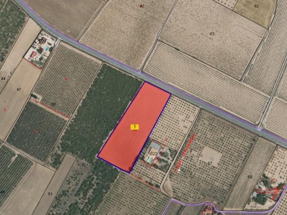 19,000 m² Land in Yecla - Caza De Casa