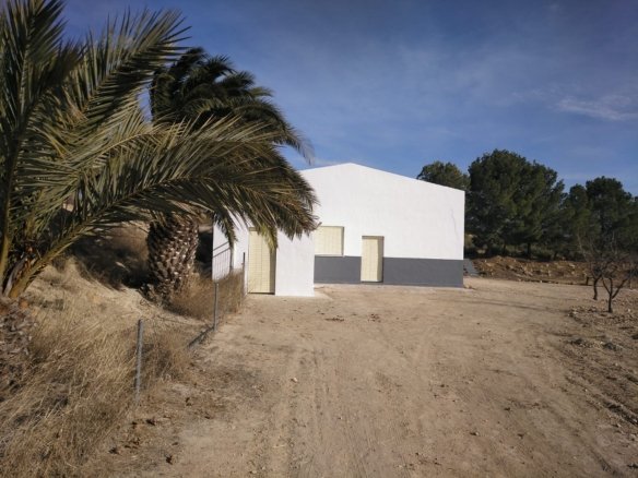 Commercial in Yecla - Caza De Casa