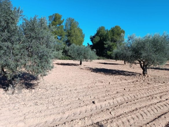 3 Bedroom 1 Bathroom Country House in Yecla - Caza De Casa