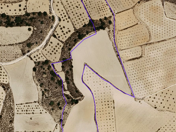 29,575 m² Land in Pinoso - Caza De Casa