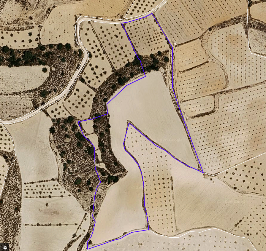 29,575 m² Land in Pinoso - Caza De Casa