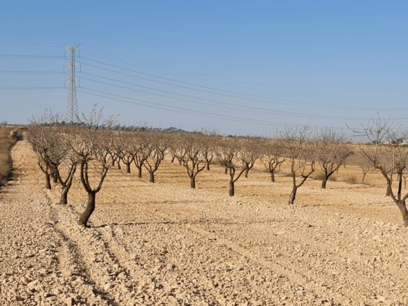 Land in Jumilla - Caza De Casa