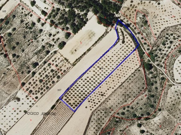 Land in Monóvar/Monóver - Caza De Casa