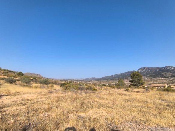 Land in Algueña - Caza De Casa