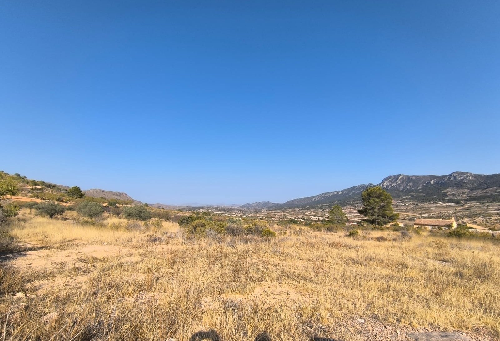 13ae2c8ec03e2eb8 Land in Algueña - Caza De Casa