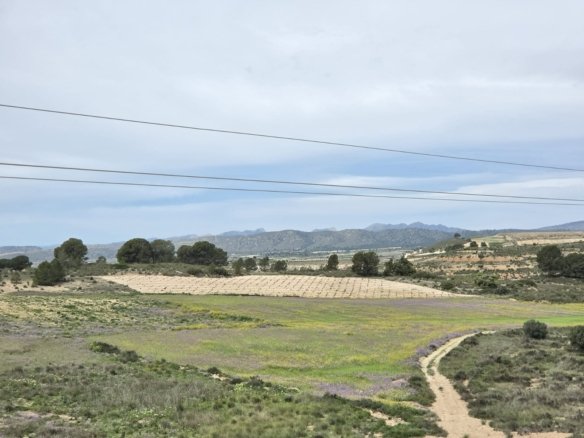 Land in Jumilla - Caza De Casa