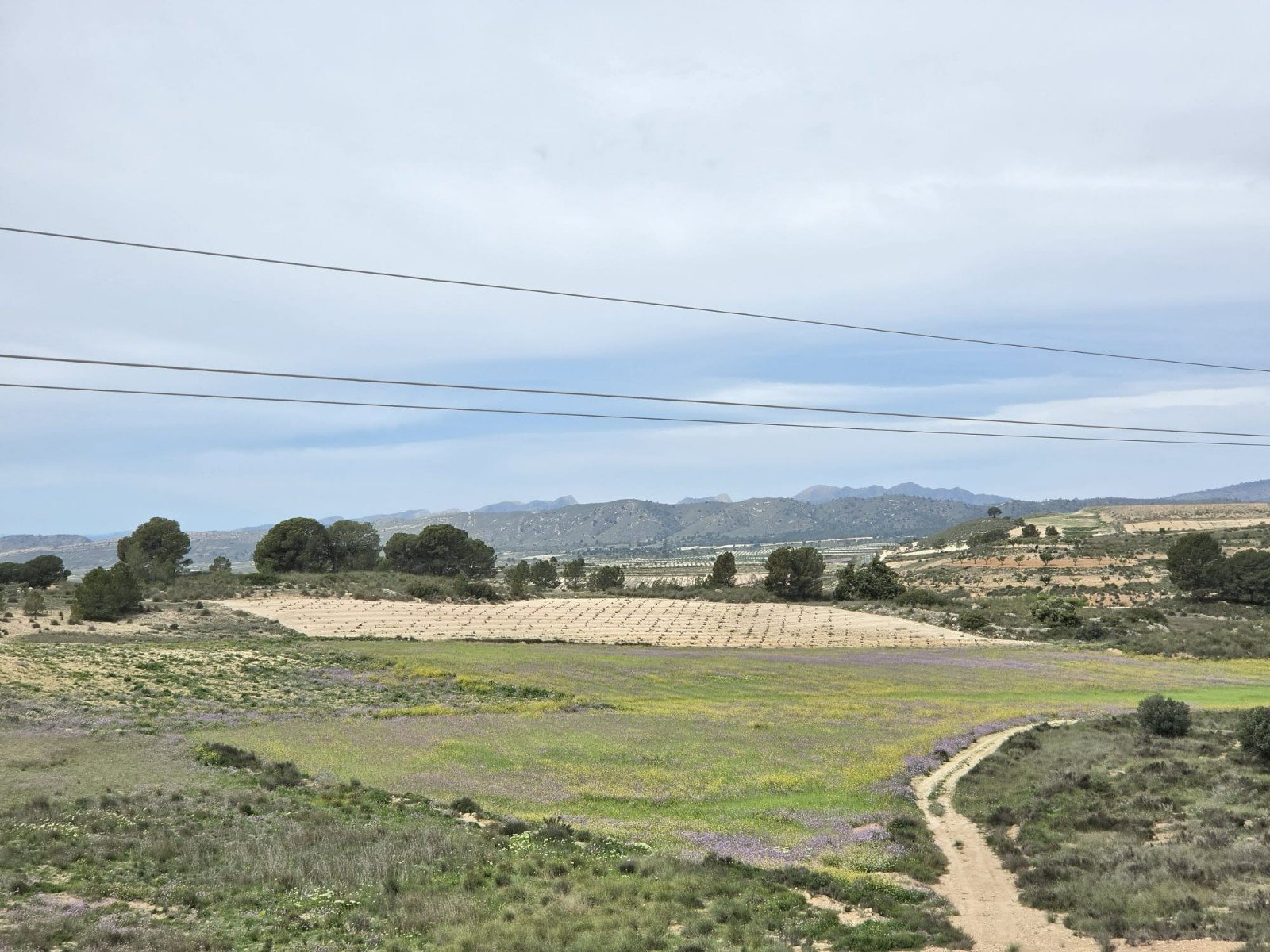 Land in Jumilla - Caza De Casa
