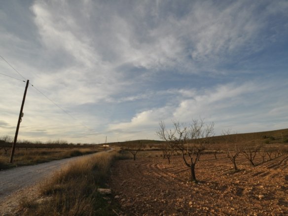 Land in Abanilla - Caza De Casa