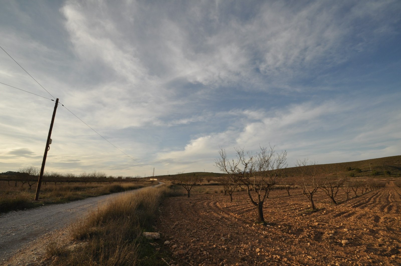 Land in Abanilla - Caza De Casa