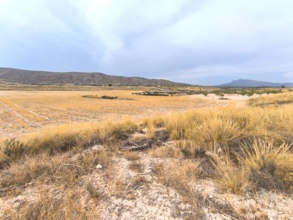 6 Bed 2 Bath Country House in Jumilla - Caza De Casa