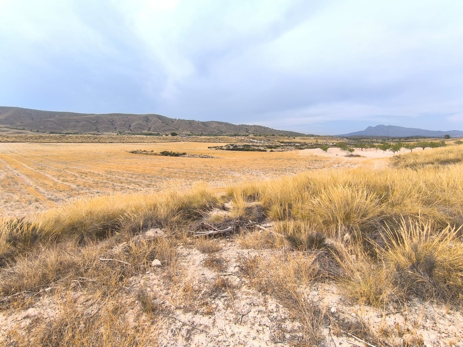 6 Bed 2 Bath Country House in Jumilla - Caza De Casa