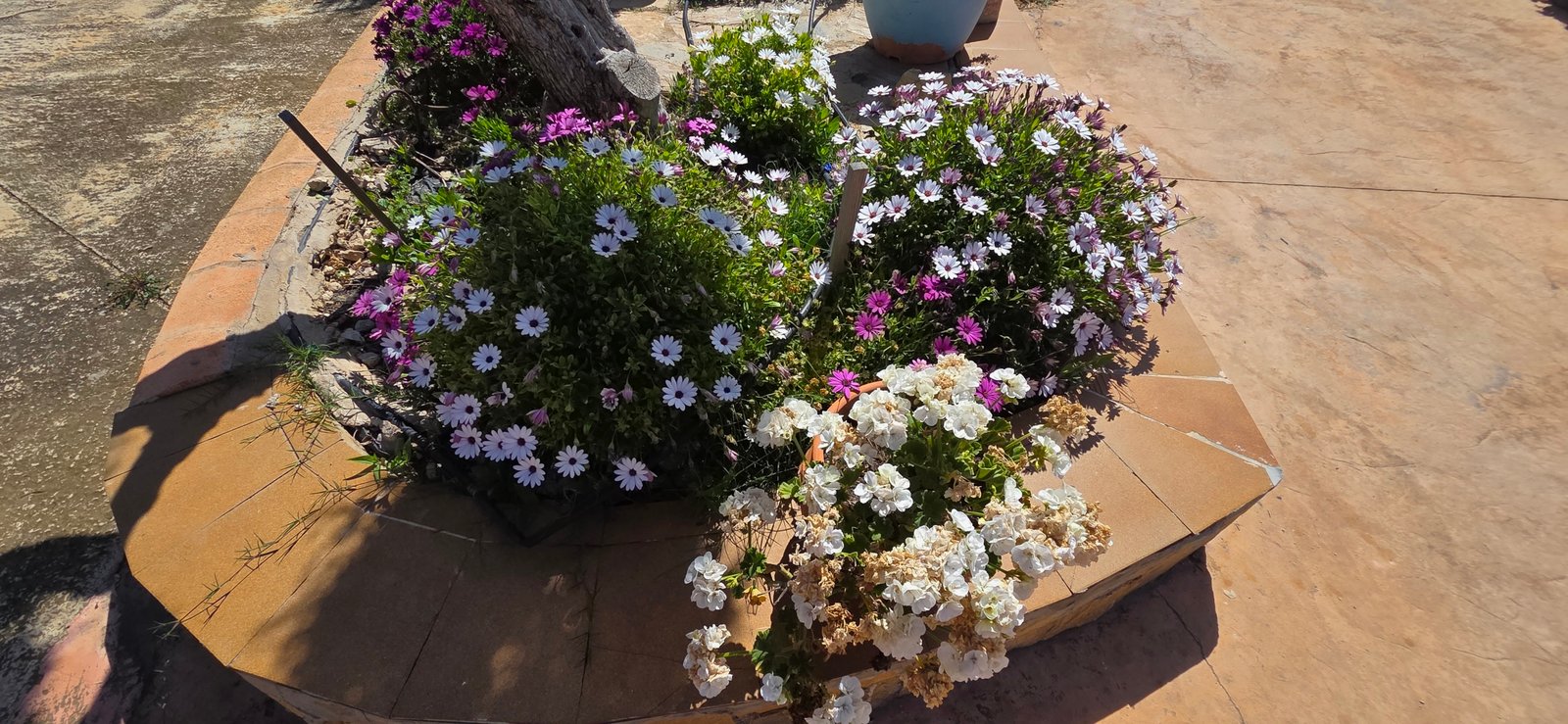6 Bedroom 3 Bathroom Country House in Yecla - Caza De Casa