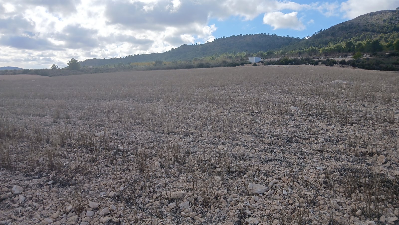 110,000 m² Land in Yecla - Caza De Casa