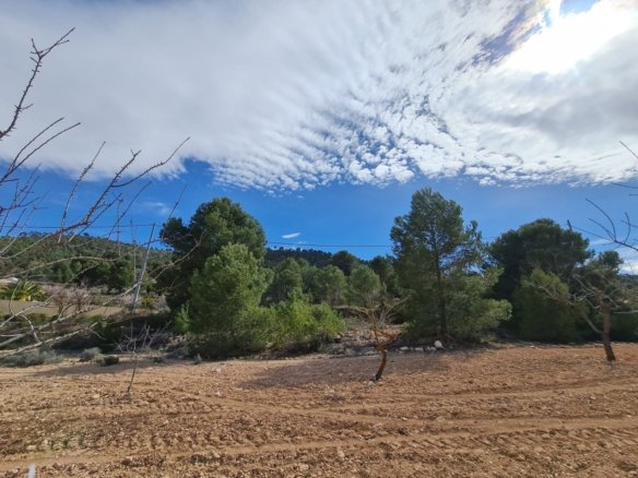 Land in Pinoso - Caza De Casa
