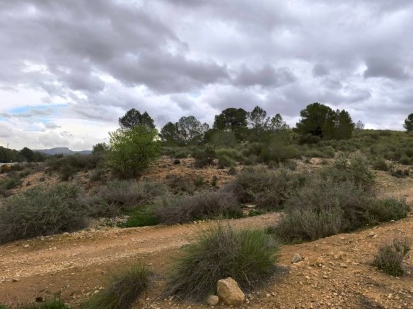 14,595 m² Land in Chinorlet - Caza De Casa