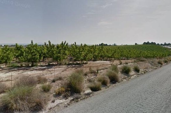 453,082 m² Land in Las Torres de Cotillas - Caza De Casa