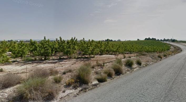 453,082 m² Land in Las Torres de Cotillas - Caza De Casa