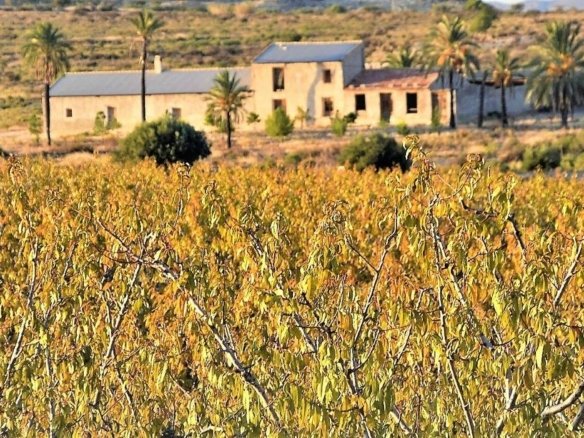 453,082 m² Land in Las Torres de Cotillas - Caza De Casa