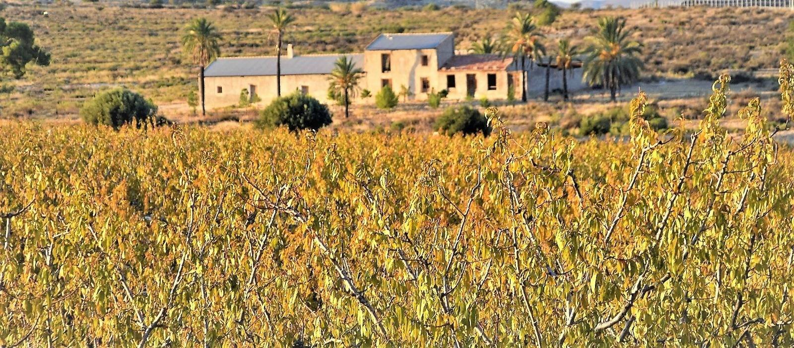 453,082 m² Land in Las Torres de Cotillas - Caza De Casa