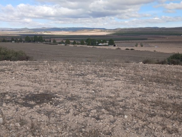 110,000 m² Land in Yecla - Caza De Casa