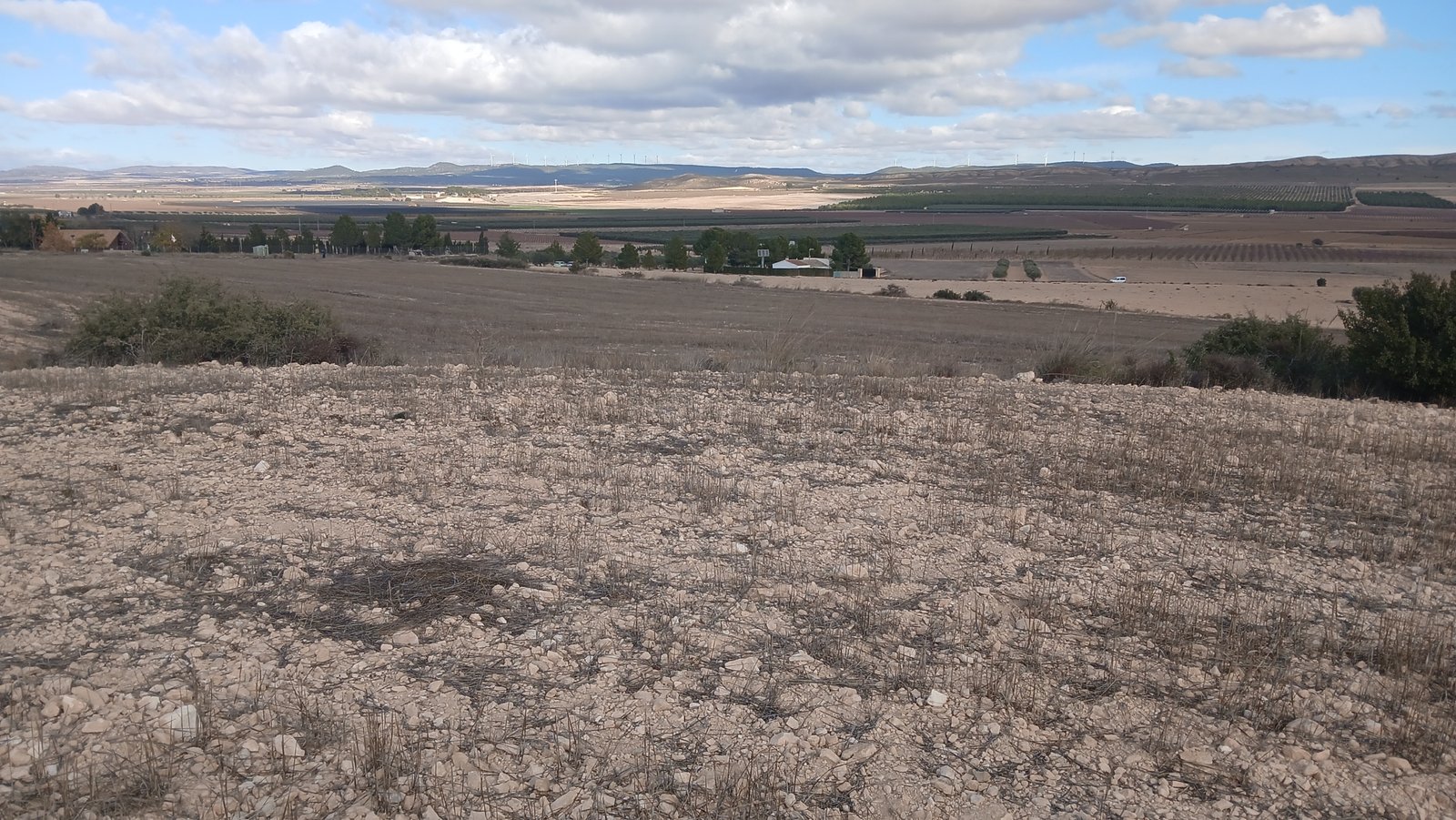 110,000 m² Land in Yecla - Caza De Casa