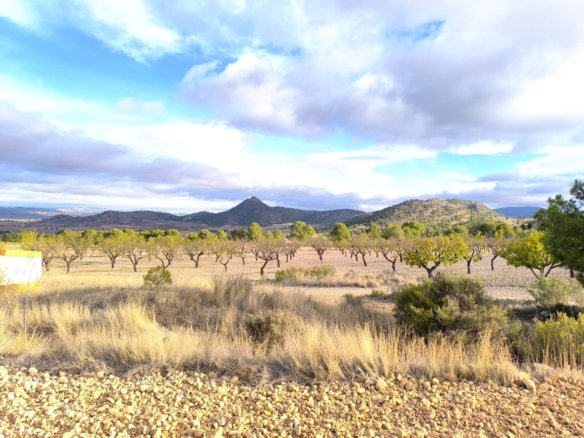 5 Bed 1 Bath Country House in Yecla - Caza De Casa