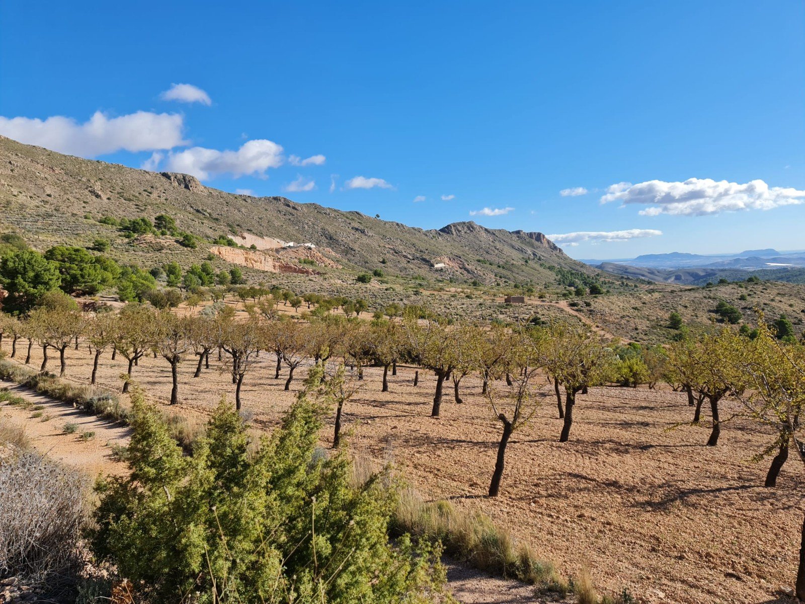 Land in La Romana - Caza De Casa