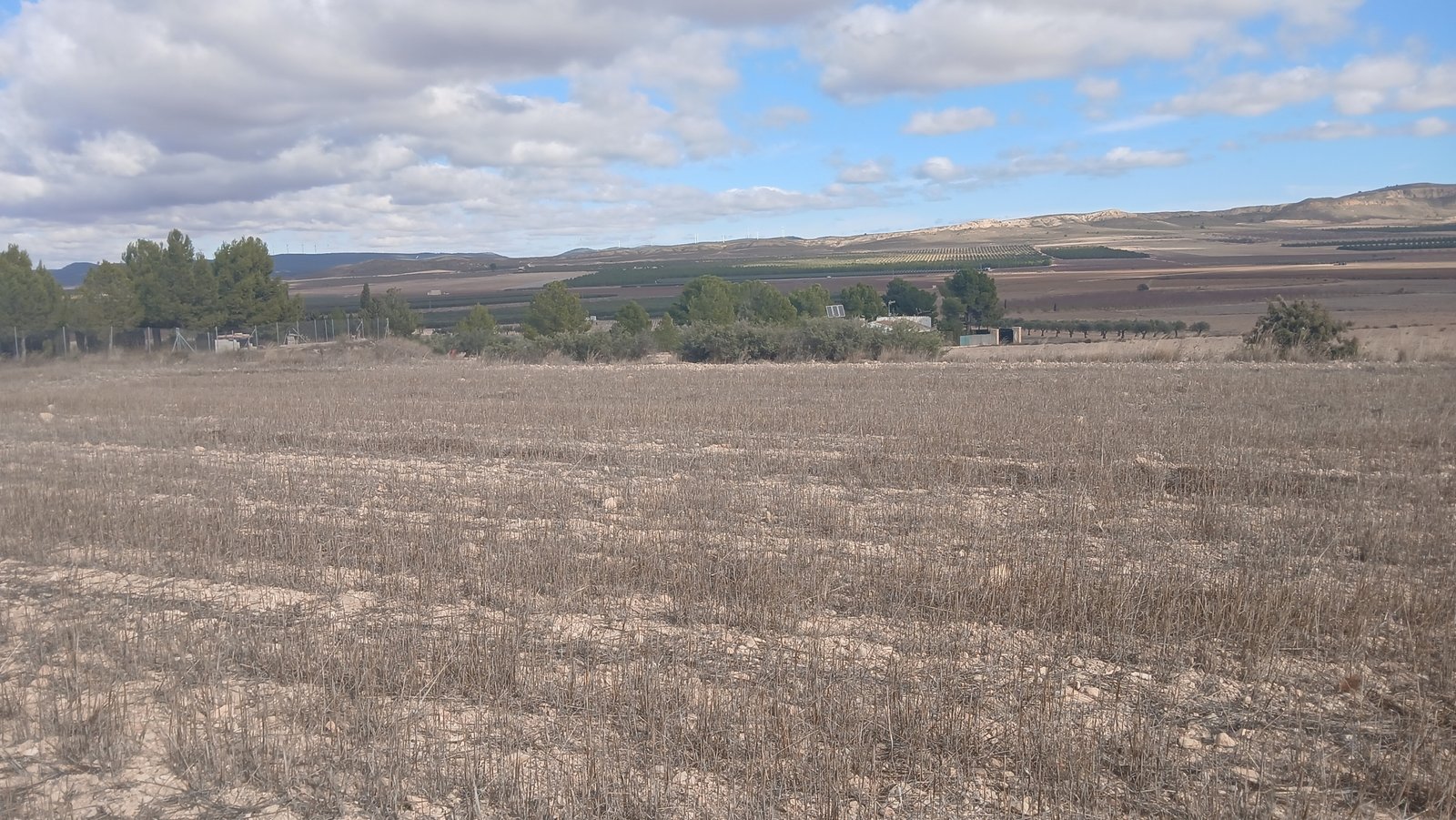 110,000 m² Land in Yecla - Caza De Casa