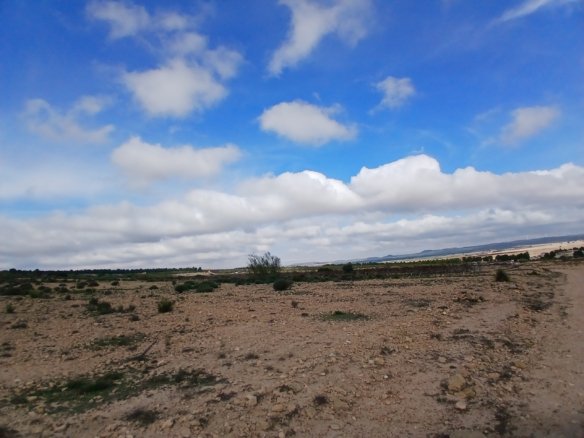 600 m² Land in Yecla - Caza De Casa