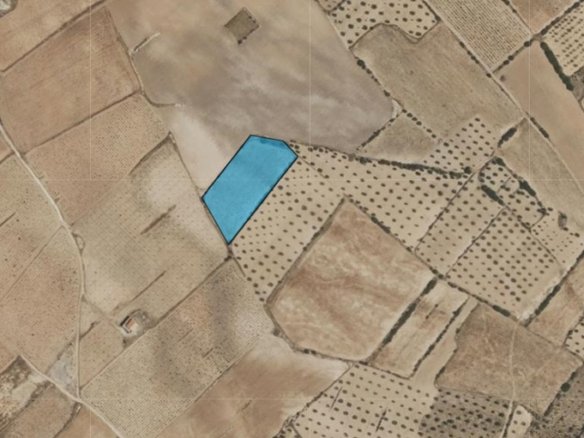 5,886 m² Land in Yecla - Caza De Casa