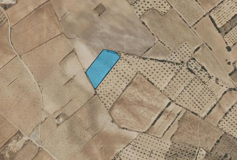 5,886 m² Land in Yecla - Caza De Casa