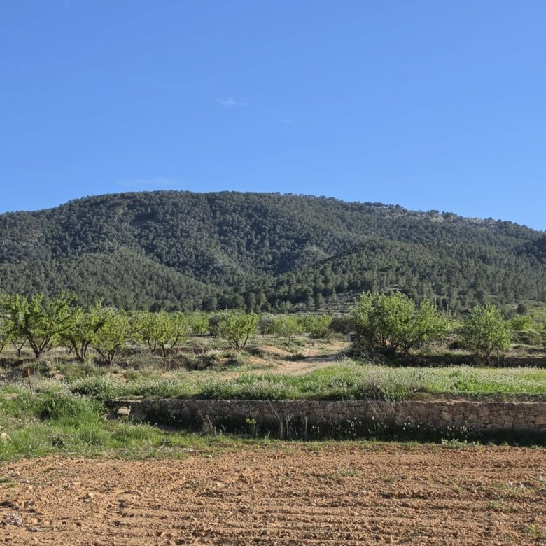 Land in Monóvar/Monóver - Caza De Casa