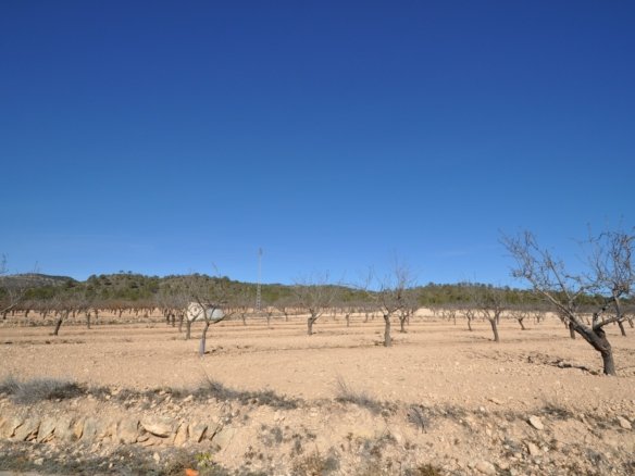 12,836 m² Land in Monóvar/Monóver - Caza De Casa