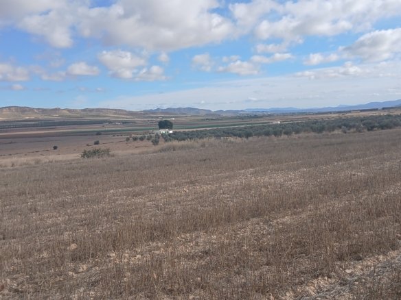 110,000 m² Land in Yecla - Caza De Casa