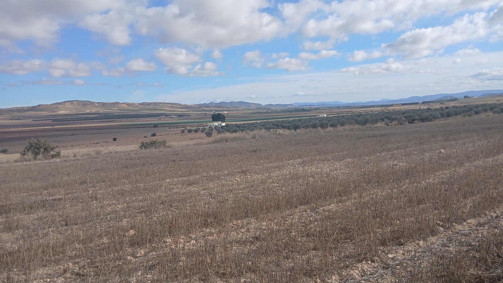 110,000 m² Land in Yecla - Caza De Casa