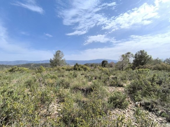 Land in Yecla - Caza De Casa