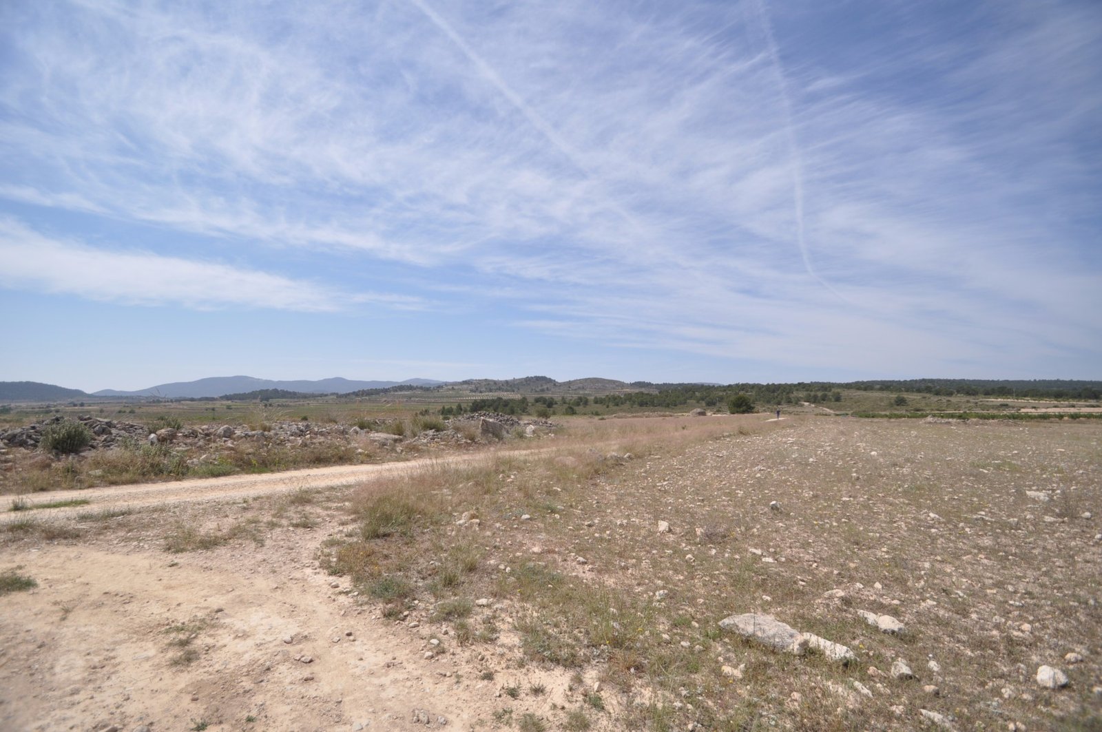 Land in Pinoso - Caza De Casa