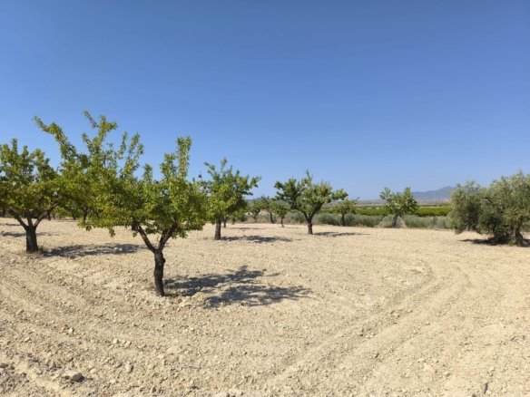 Land in Monóvar/Monóver - Caza De Casa