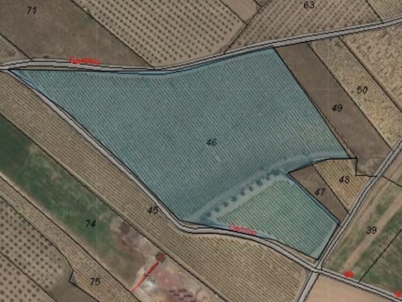 Land in Monóvar/Monóver - Caza De Casa