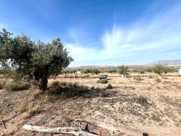 1 Bed Country House in Pinoso - Caza De Casa