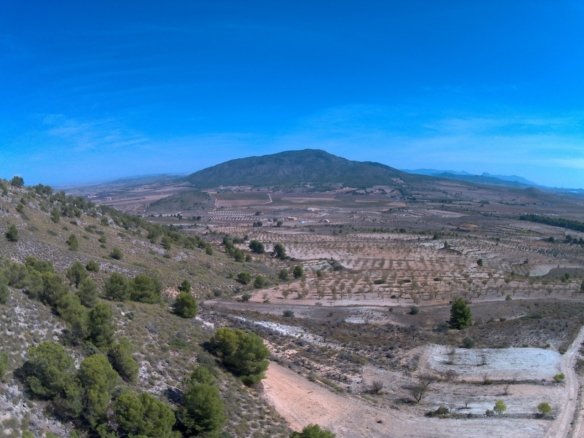 31,486 m² Land in Yecla - Caza De Casa