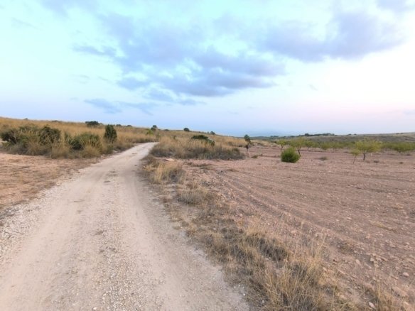 10,354 m² Land in Pinoso - Caza De Casa