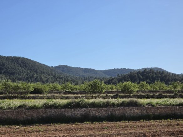 Land in Monóvar/Monóver - Caza De Casa