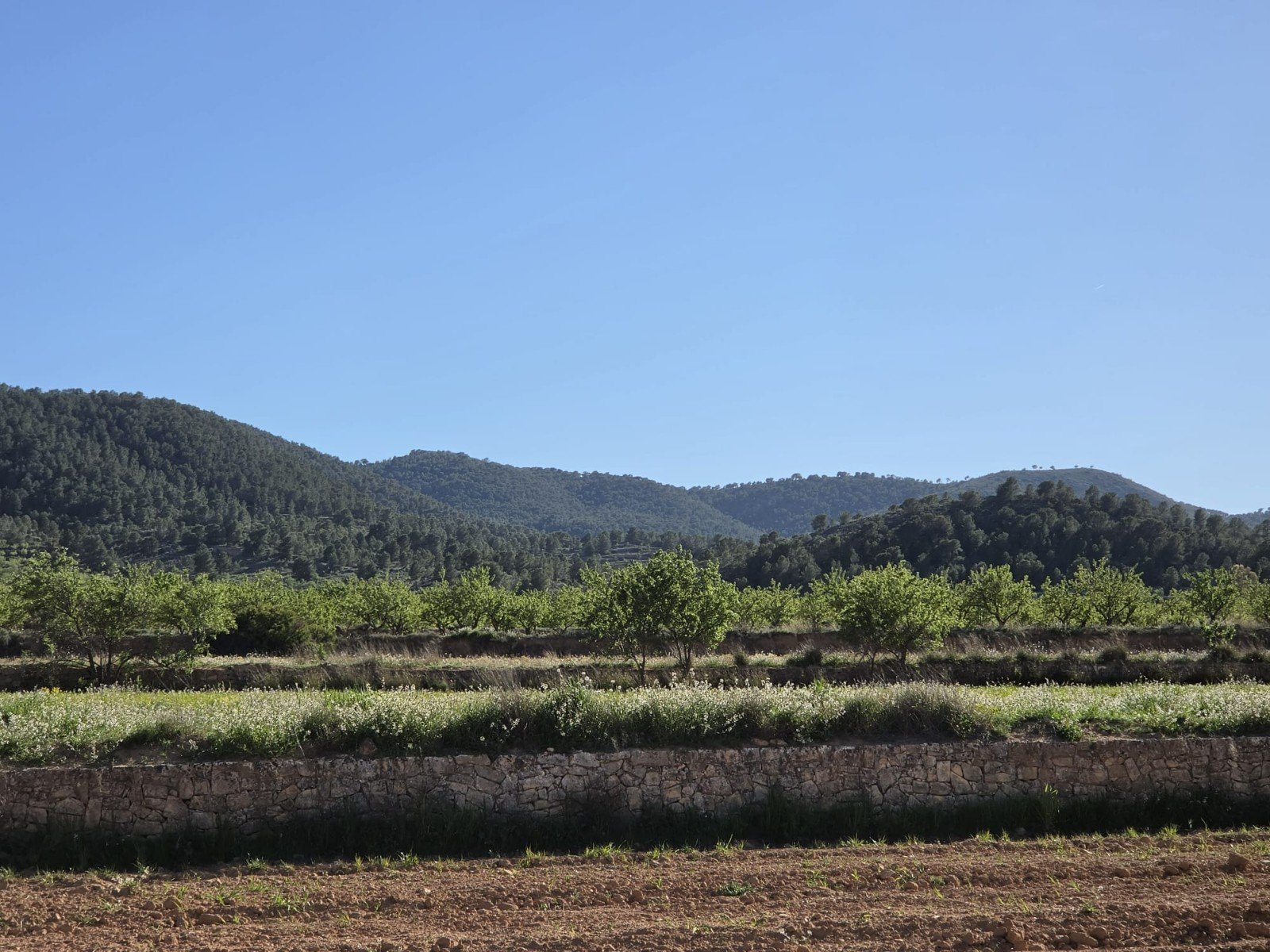 19b3e0c5f4380c49 Land in Monóvar/Monóver - Caza De Casa