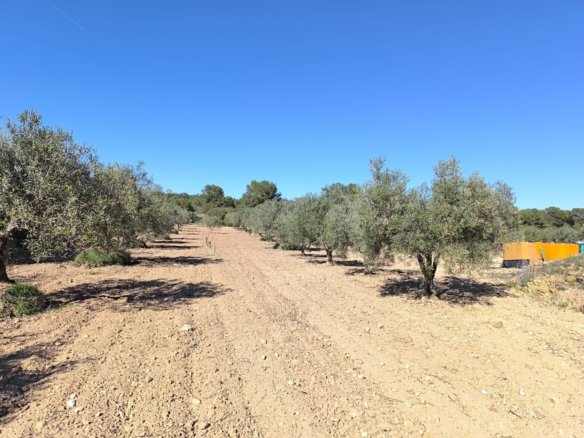 3 Bedroom 1 Bathroom Country House in Yecla - Caza De Casa