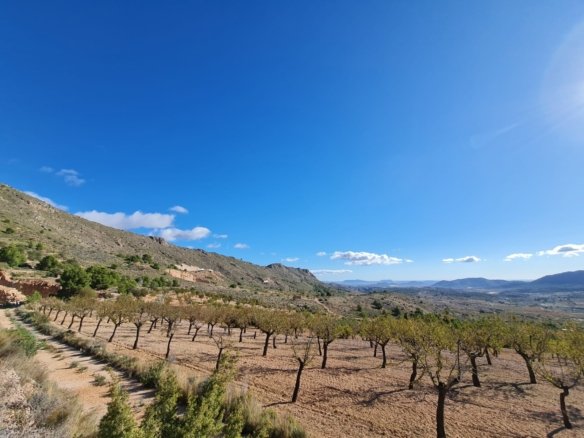 Land in La Romana - Caza De Casa