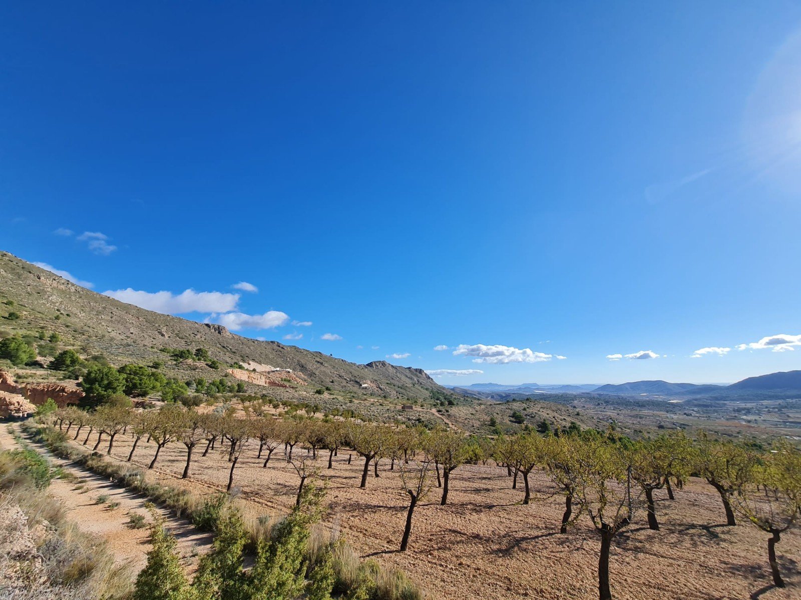 Land in La Romana - Caza De Casa