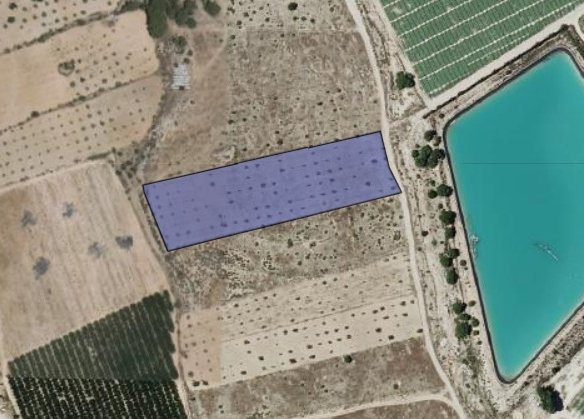 9,044 m² Land in Monóvar/Monóver - Caza De Casa