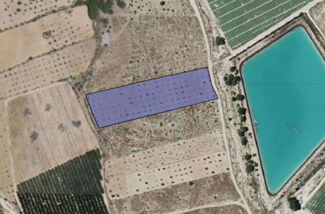 9,044 m² Land in Monóvar/Monóver - Caza De Casa